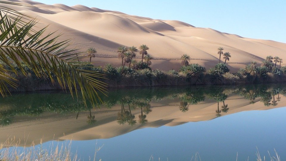 Bild von einer Oase in Libyen